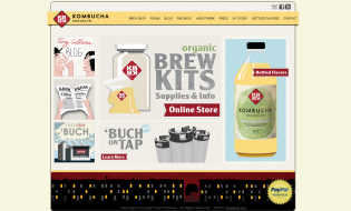 Kombucha Brewing Adventures