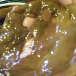 recovingfromholes Holy Scoby