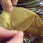 separatingthescoby Splitting the Scoby